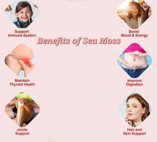 Sea Moss Minerals Capsules Best Sea Moss Supplement Herbal
