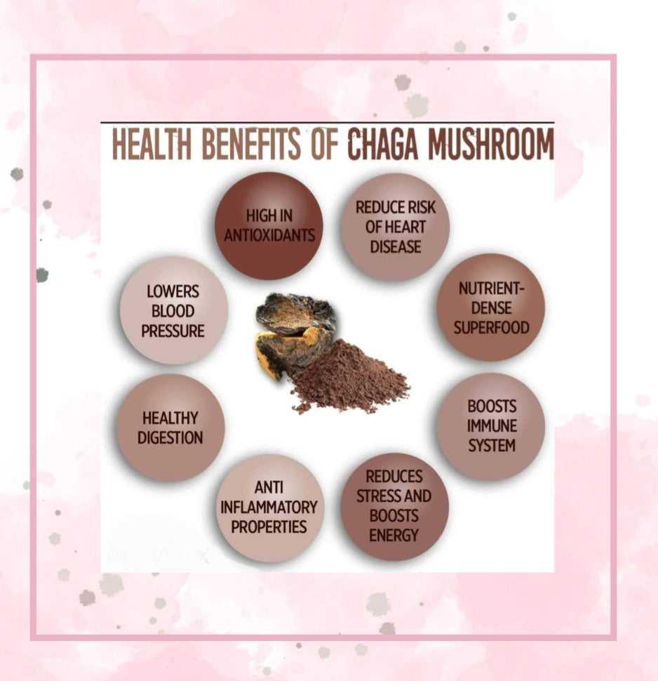 Chaga Mushrooms Herbs Chaga Mushrooms Herbs 18 Herbs