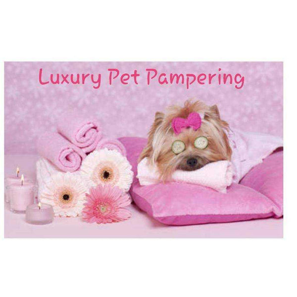 Dog Shampoo Dog Shampoo 3 Pet Skin Care Products & Grooming Services