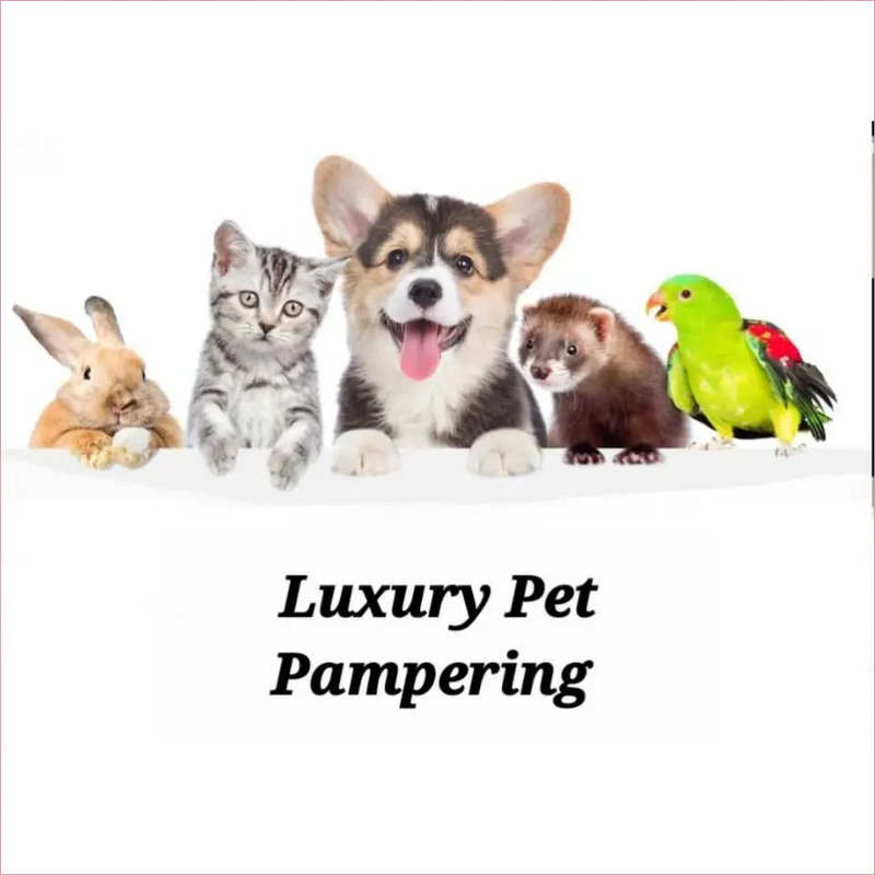 #1 Pet Pampering Dog & Cat Grooming Services #1 Pet Pampering Dog & Cat Grooming Services Animals & Pet Supplies 35 Pet Skin Care Products & Grooming Services