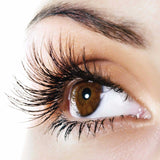 Rapid Eyelash & Eye Brow Growth Serum Rapid Eyelash & Eye Brow Growth Serum Eyelash Growth Serum 9 Creams/Serums